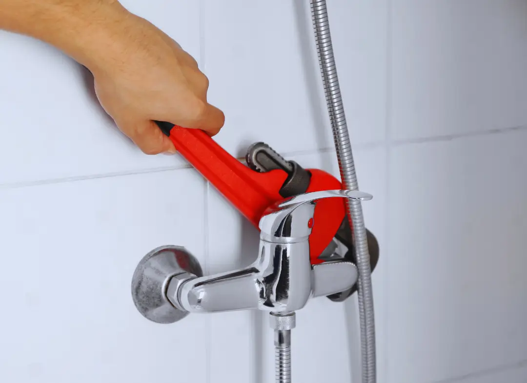 Mitigeur Thermostatique douche Saint-Pierre-d'Albigny