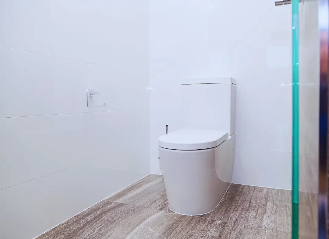 Remplacement de wc Saint-Pierre-d'Albigny