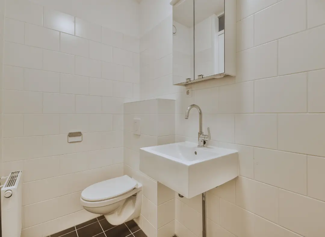 Pose WC Suspendu Saint-Pierre-d'Albigny